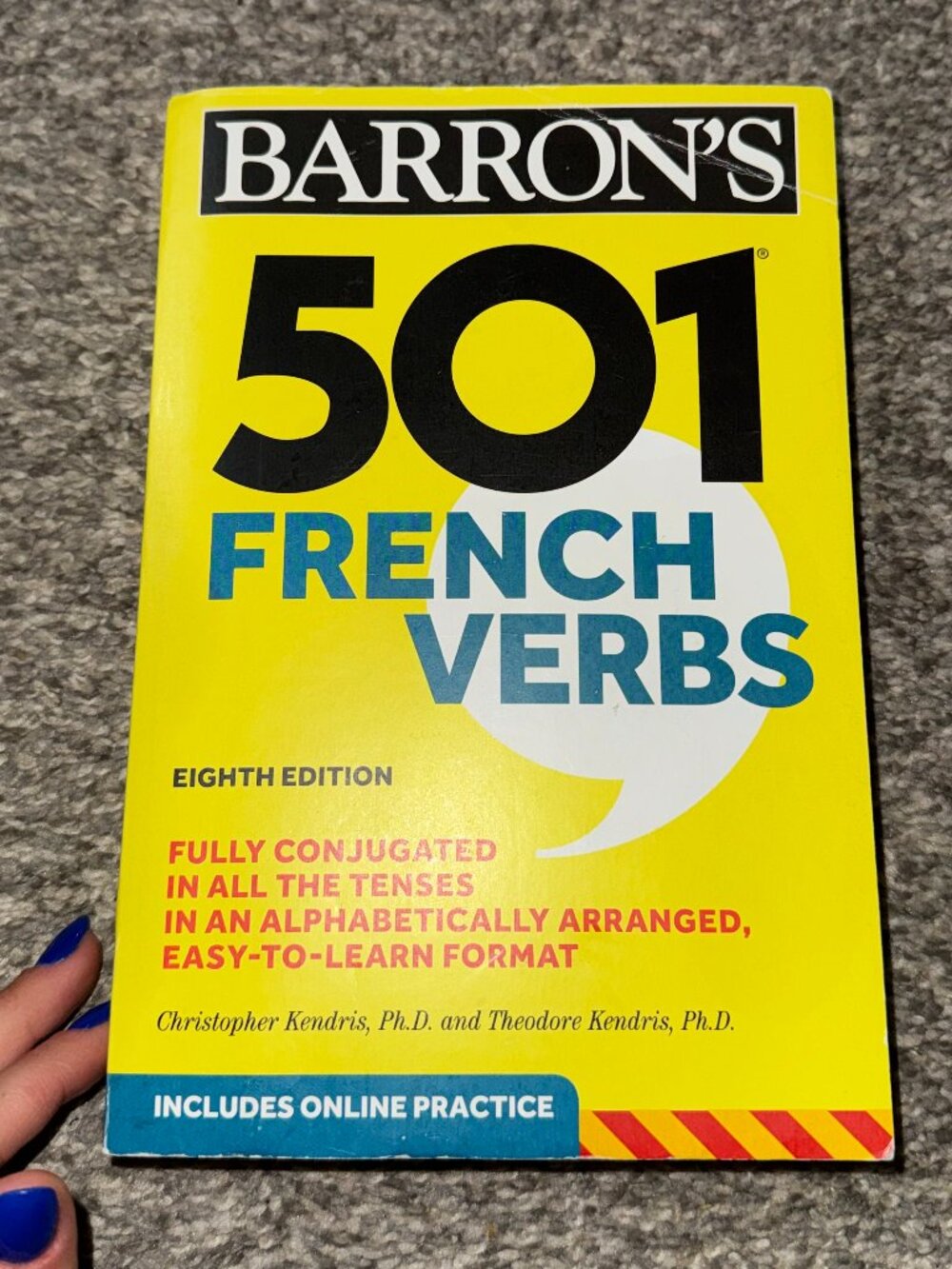 Barrons 501 French Verbs